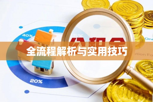 平江全流程解析与实用技巧