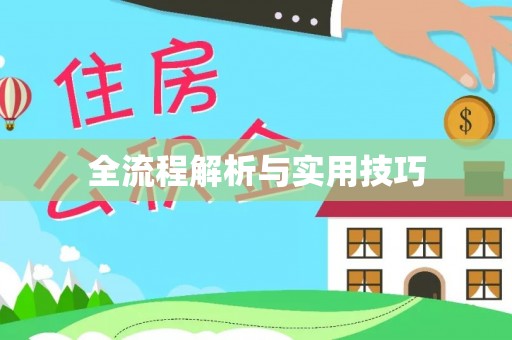 平江全流程解析与实用技巧