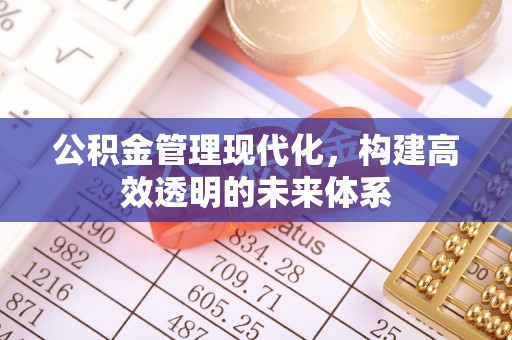 平江公积金管理现代化，构建高效透明的未来体系