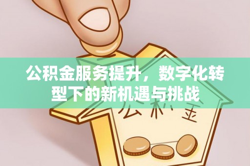 平江公积金服务提升，数字化转型下的新机遇与挑战