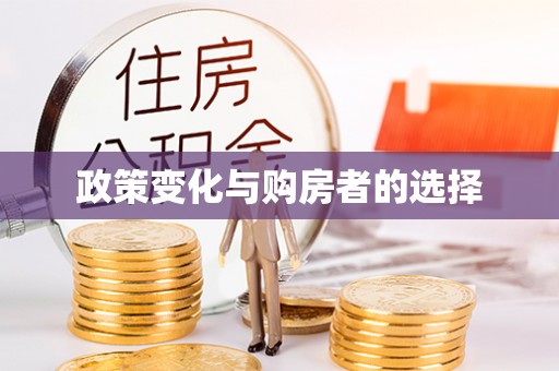 平江政策变化与购房者的选择