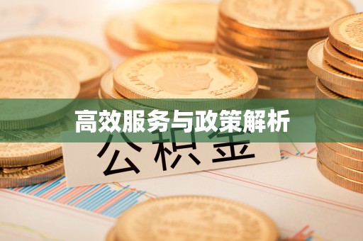 平江高效服务与政策解析