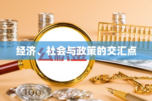 平江经济、社会与政策的交汇点