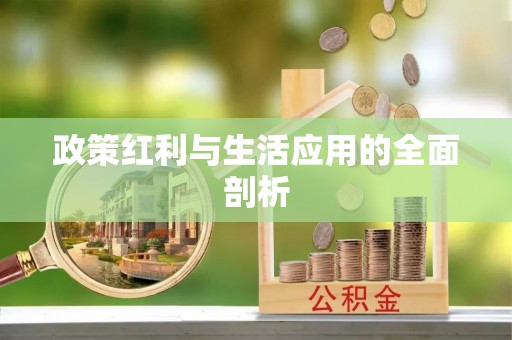 平江政策红利与生活应用的全面剖析