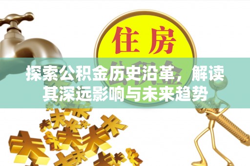 平江探索公积金历史沿革，解读其深远影响与未来趋势