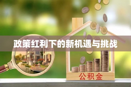 平江政策红利下的新机遇与挑战