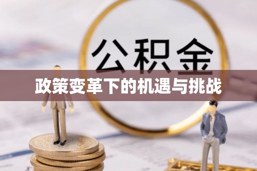 平江政策变革下的机遇与挑战