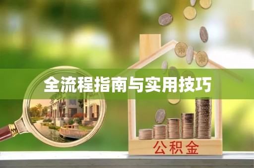 平江全流程指南与实用技巧