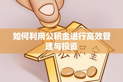 平江如何利用公积金进行高效管理与投资