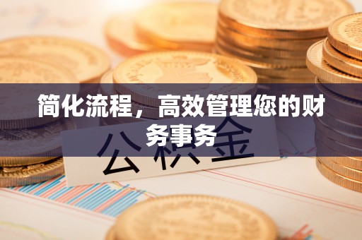 平江简化流程，高效管理您的财务事务