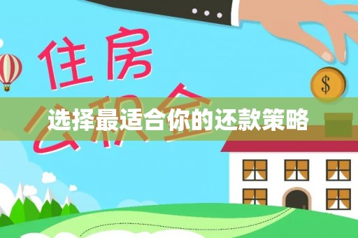 平江选择最适合你的还款策略